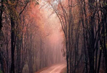 05后第一人！门希克首进大师赛决赛，将和6届赛会冠军德约争冠.