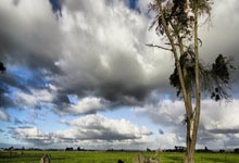 1年6260万！库里提前续约勇士 合同到期时39岁.