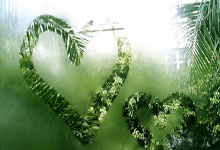 2025年01月11日球会友谊奈德弗vsETSV汉堡历史战绩，交战记录，比分预测.