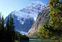 2-1！德丙鱼腩队创奇迹：逆转德甲冠军首进决赛 球迷冲入球场庆祝.