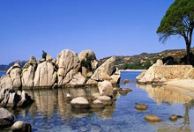 乐鱼体育：2025F1中国大奖赛——春意恰盎然 竞速正当时.